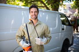 Reliable Celoron, NY Pest control Solutions